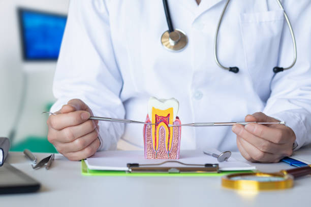 Best Dentist for Tooth Abscess  in Brodhead, KY
